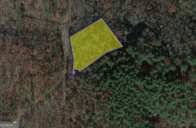 a view of a back yard