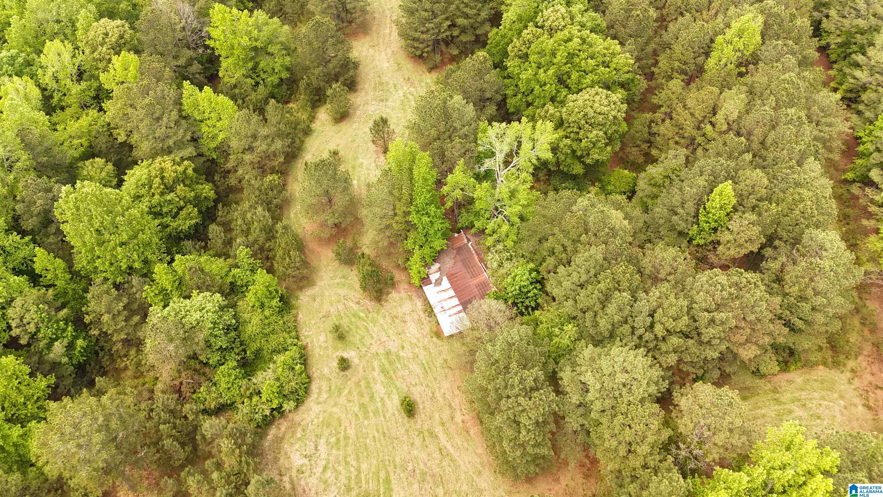 2488 Louina Road Roanoke, AL 36274 - Photo 89 of 97