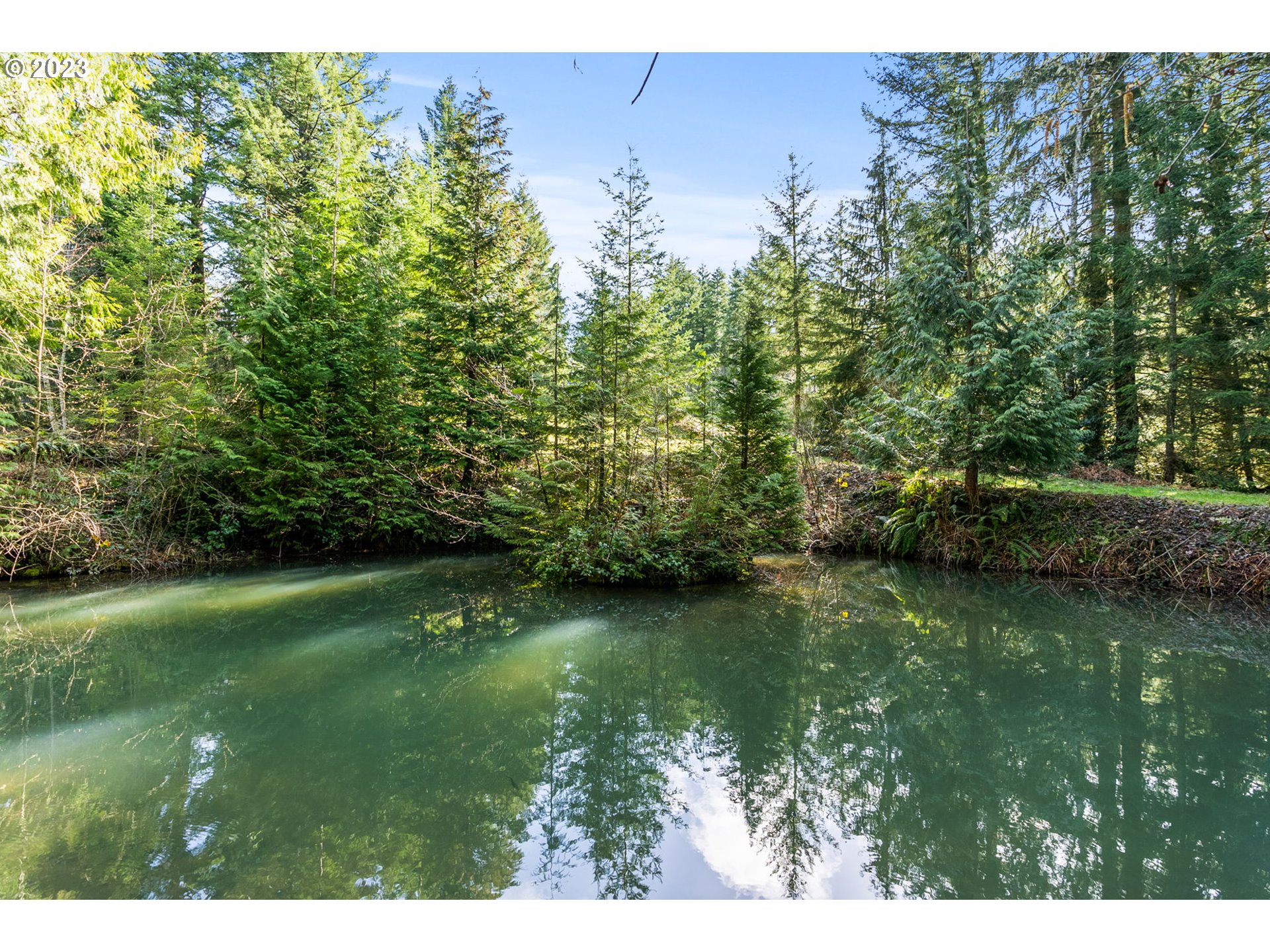24050 Southeast McCabe Road Sandy, OR 97055 - Photo 8 of 44 Pond