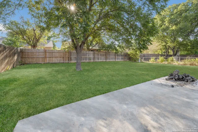 a view of a park with large trees and wooden fence
