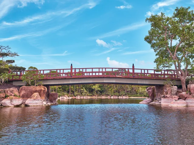 a view of balcony with a potted plant