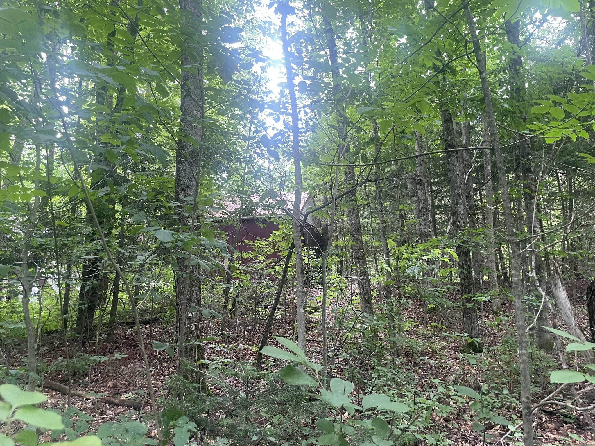 1075 Hill Road Clinton, ME 04927 - Photo 136 of 172 IMG_6234