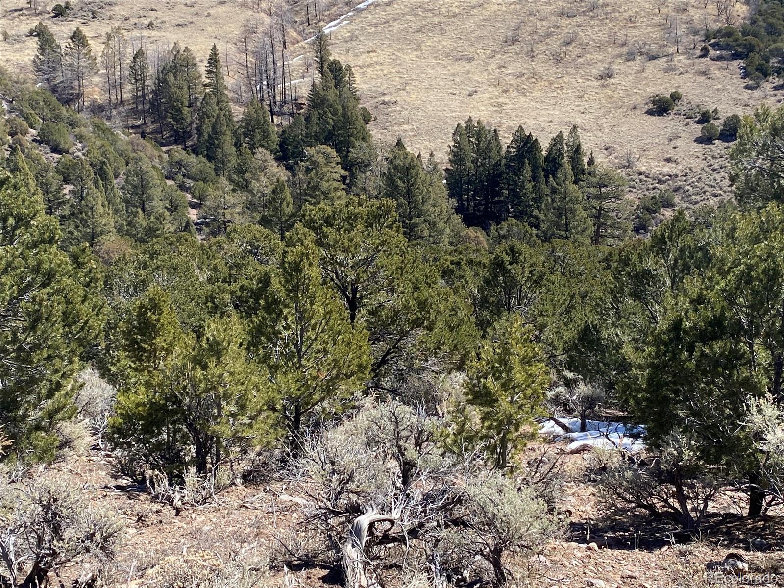 4647 Spring Road Fort Garland, CO 81133 - Photo 7 of 25 Gallery Image 7
