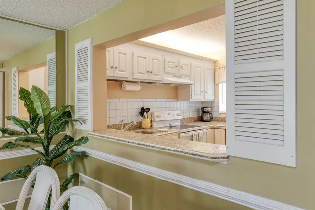 a view of a kitchen with a sink and a potted plant