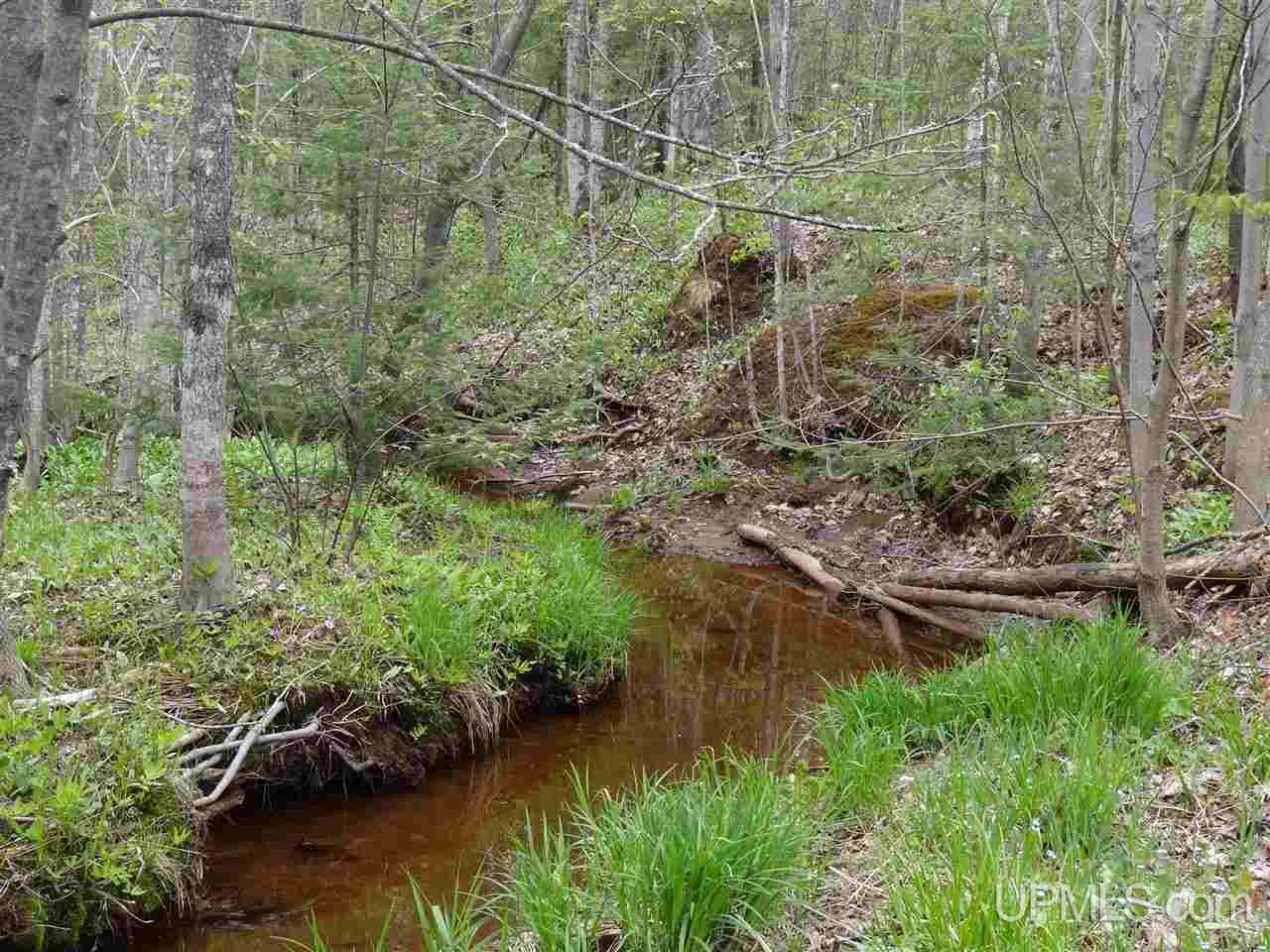 37296 Beck Road Ontonagon, MI 49953 - Photo 1 of 26 Gallery Image 1