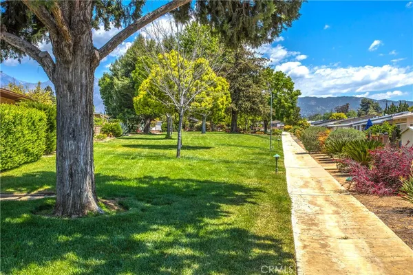 a view of a garden