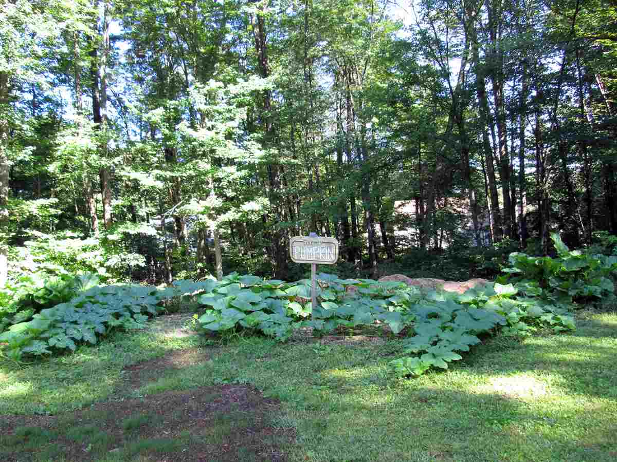 8 Hutchinson Road Merrimack, NH 03054 - Photo 23 of 32