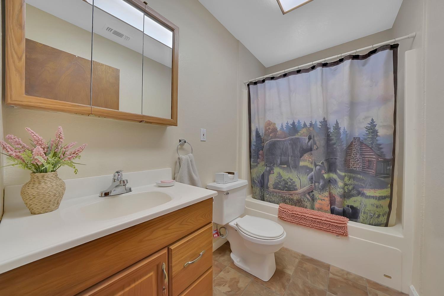 301 Bald Mountain Road West Point, CA 95255 - Photo 26 of 55 a bathroom with a sink a toilet and shower