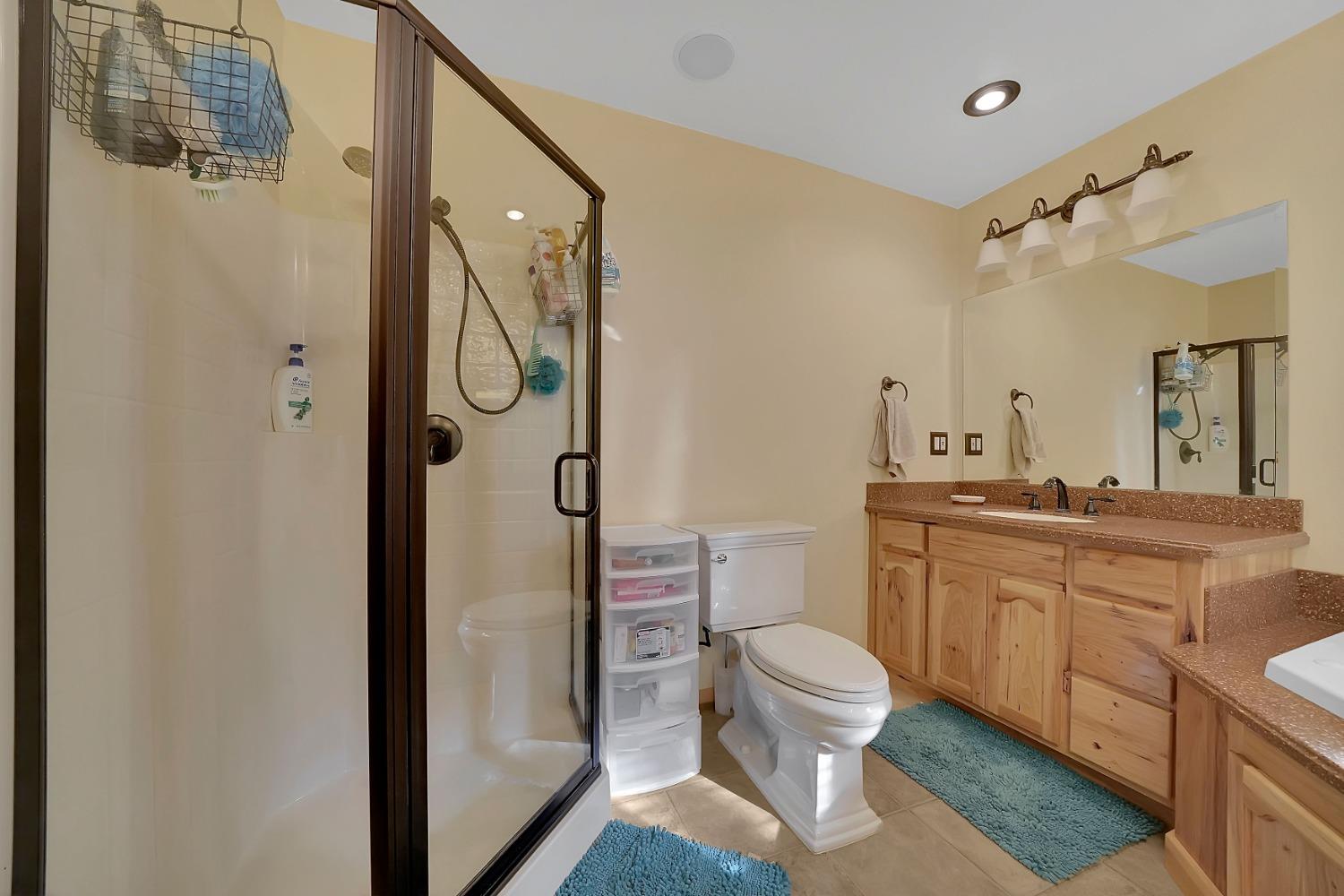 301 Bald Mountain Road West Point, CA 95255 - Photo 35 of 55 a bathroom with a sink a toilet and shower