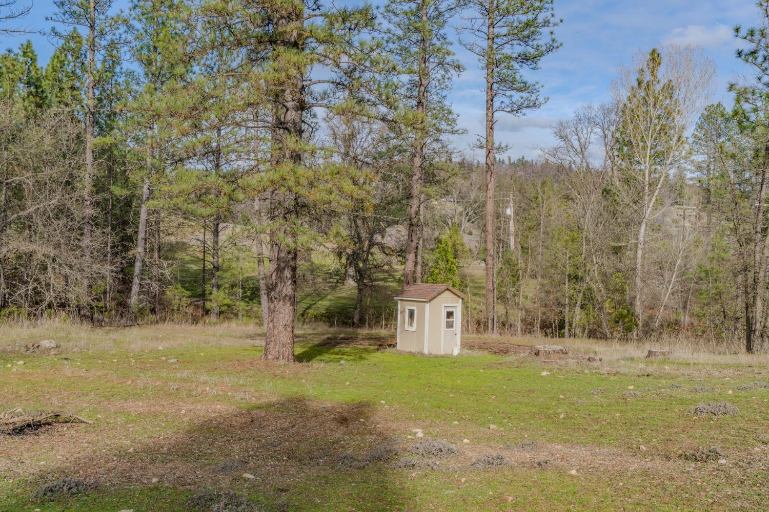 301 Bald Mountain Road West Point, CA 95255 - Photo 43 of 55 a view of a field with trees around