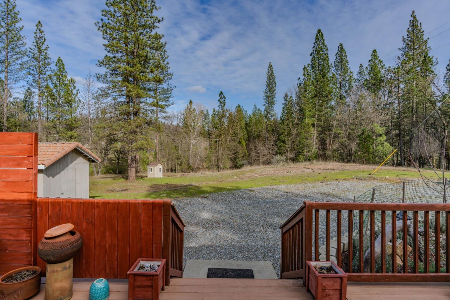 301 Bald Mountain Road West Point, CA 95255 - Photo 44 of 55 a view of backyard with swimming pool and outdoor seating