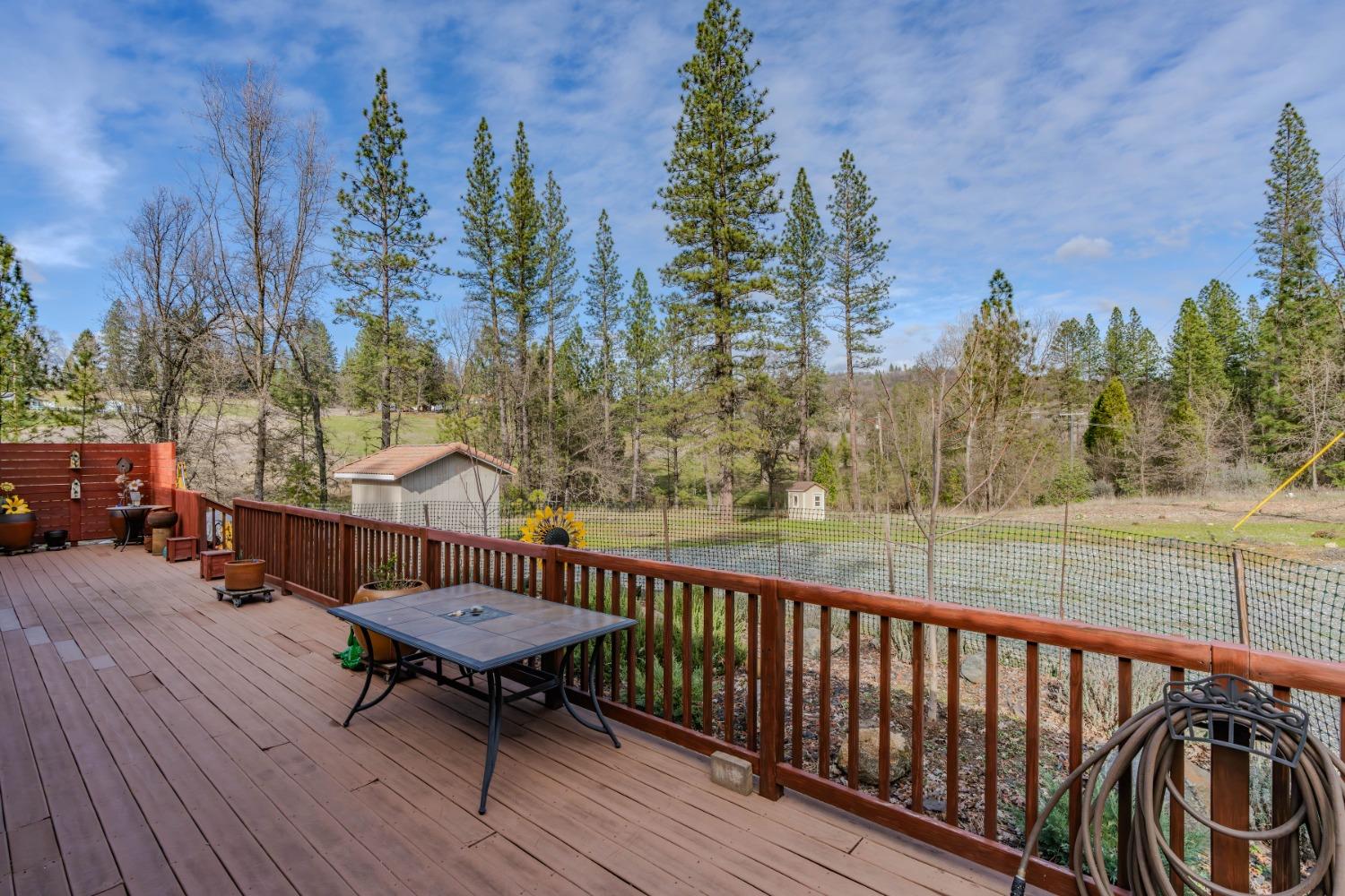 301 Bald Mountain Road West Point, CA 95255 - Photo 45 of 55 a view of a chairs on wooden deck