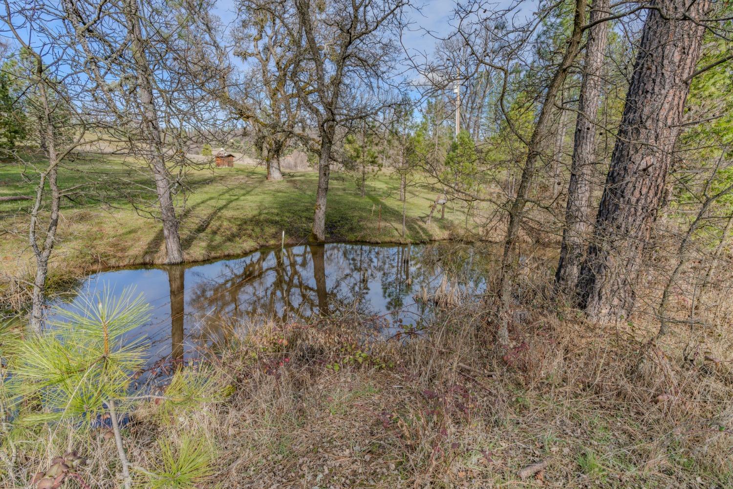 301 Bald Mountain Road West Point, CA 95255 - Photo 46 of 55 a backyard of a house with lots of green space