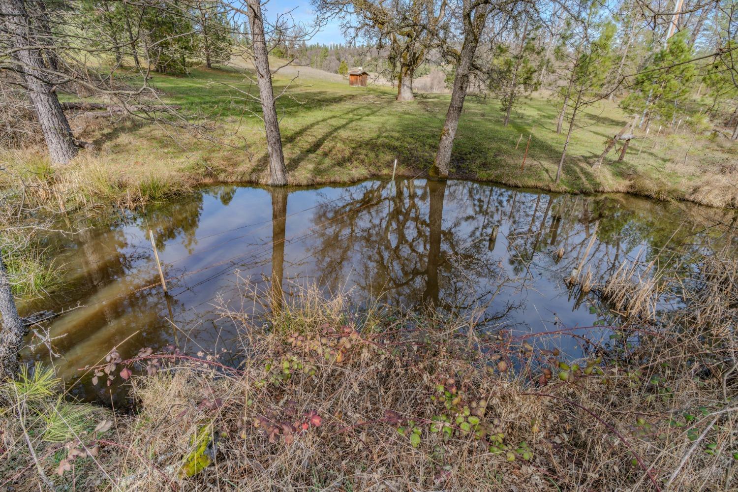 301 Bald Mountain Road West Point, CA 95255 - Photo 48 of 55
