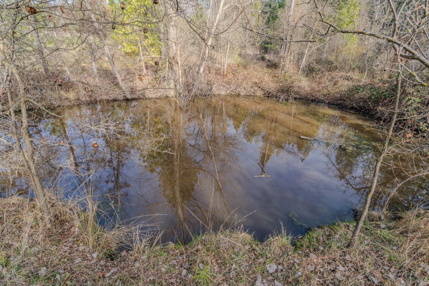 301 Bald Mountain Road West Point, CA 95255 - Photo 49 of 55 a view of a pathway of a yard