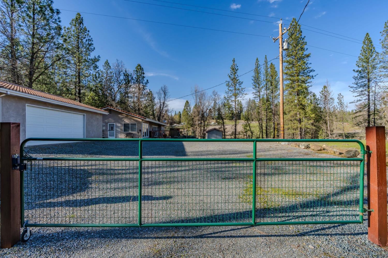 301 Bald Mountain Road West Point, CA 95255 - Photo 52 of 55