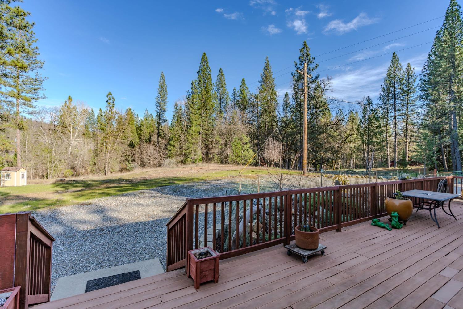 301 Bald Mountain Road West Point, CA 95255 - Photo 55 of 55 a view of a terrace with outdoor seating