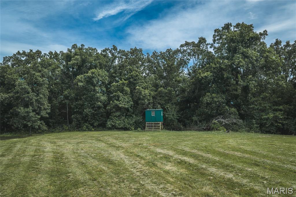 27656 State Rte WW Fredericktown, MO 63645 - Photo 73 of 99