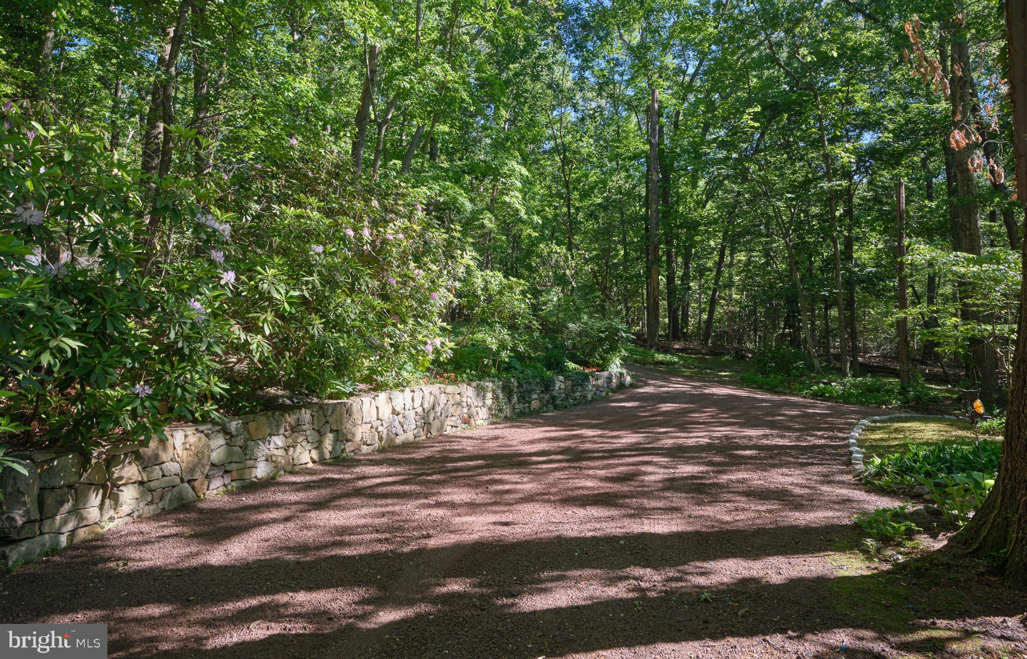 4831 Mountain Top Road West, Unit W New Hope, PA 18938 - Photo 2 of 28 Serene woodland pathway awaits.