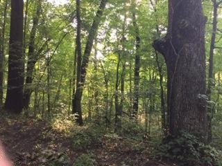 10461 Cranberry Lake Road Marcellus, MI 49067 - Photo 1 of 4 IMG_3220