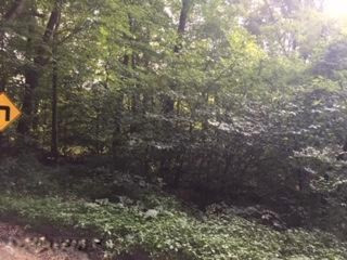 10461 Cranberry Lake Road Marcellus, MI 49067 - Photo 2 of 4 IMG_3219