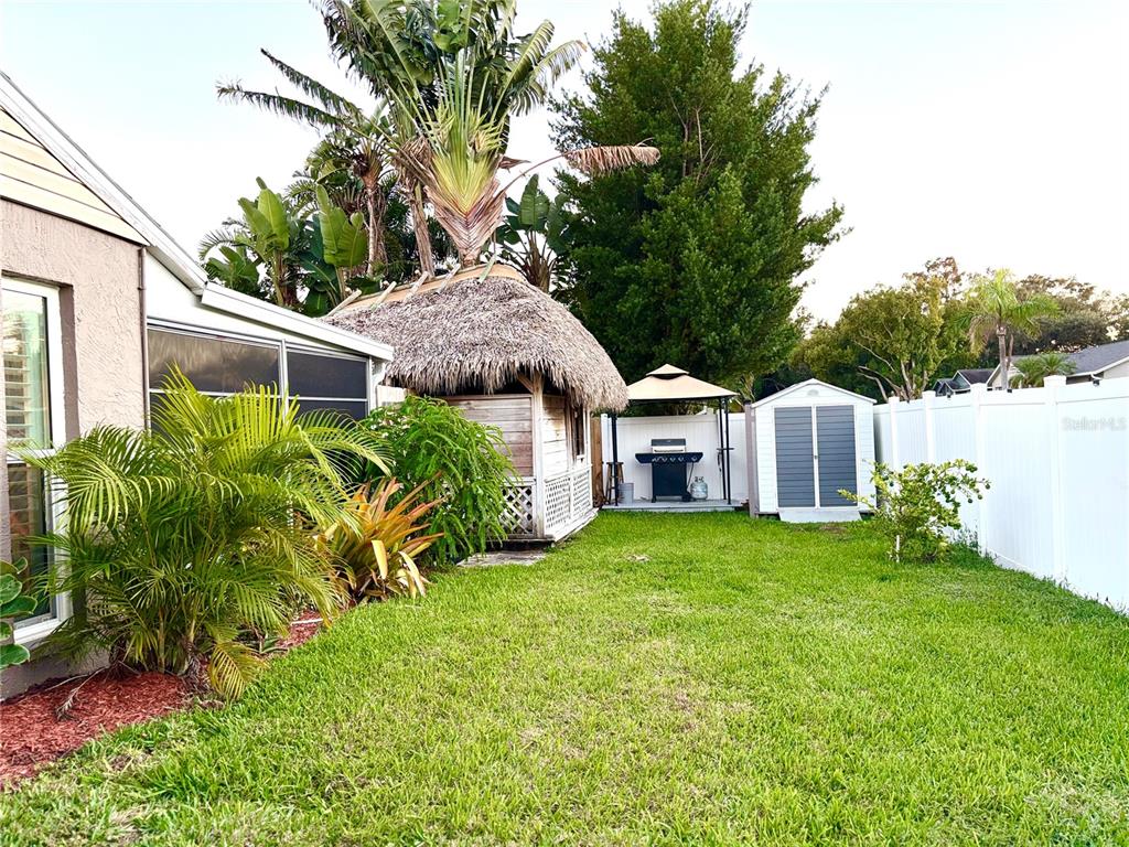 802 Woodhill Court Palm Harbor, FL 34683 - Photo 3 of 20 a view of a house with a yard and plants