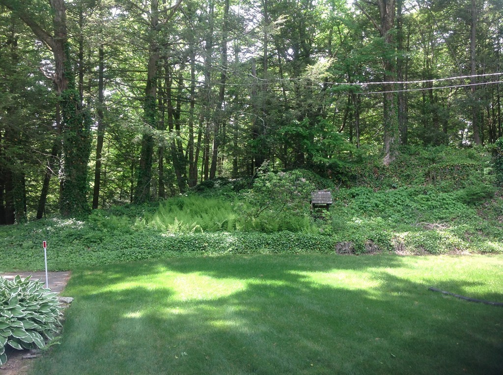 20 Little Alum Road Brimfield, MA 01010 - Photo 5 of 19 Gallery Image 5