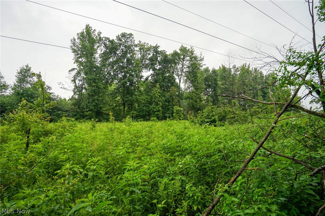 Duncanson Road Sardinia, OH 45171 - Photo 35 of 50 Gallery Image 35