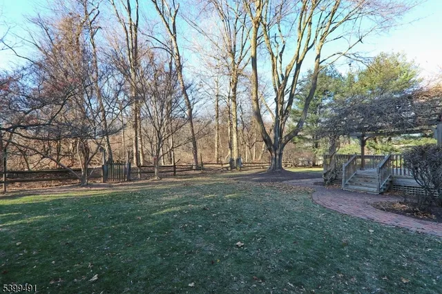 a view of a park with large trees