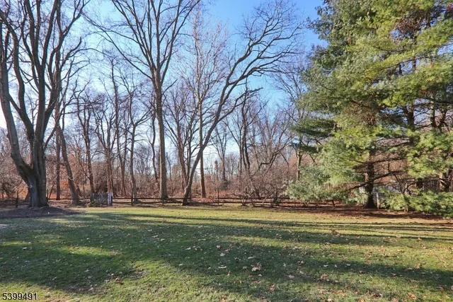 a garden view with tall trees