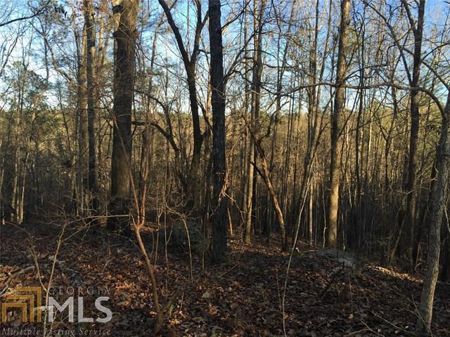 0 Moon Ridge Newnan, GA 30263 - Photo 1 of 1