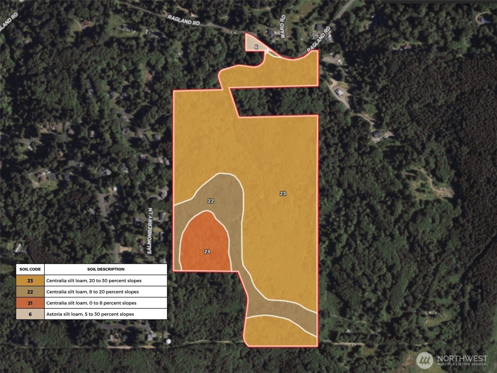 355 Ragland Road Longview, WA 98632 - Photo 13 of 24