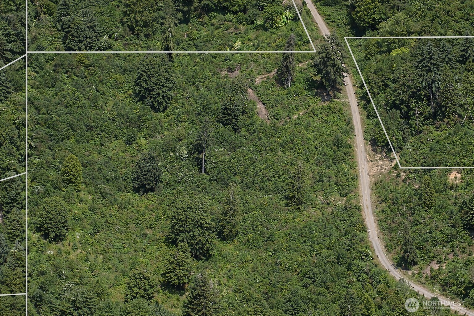 355 Ragland Road Longview, WA 98632 - Photo 19 of 24 a view of a forest