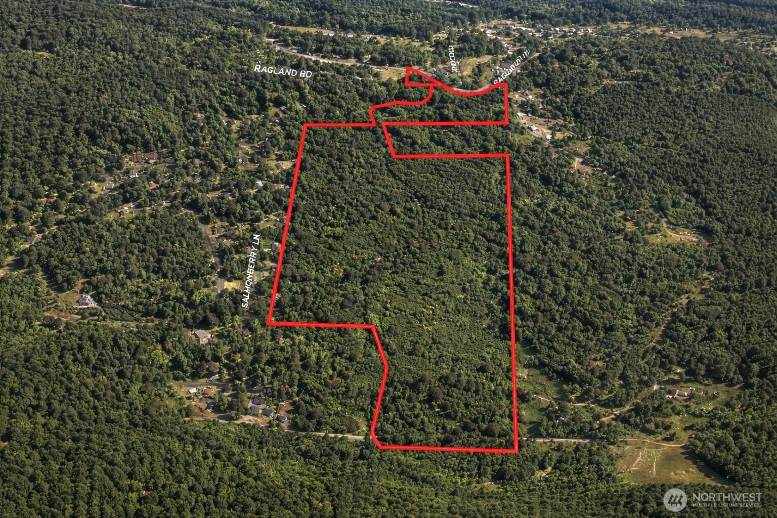 355 Ragland Road Longview, WA 98632 - Photo 2 of 24