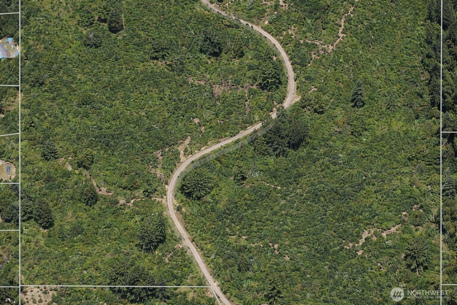 355 Ragland Road Longview, WA 98632 - Photo 21 of 24 a map view of a forest