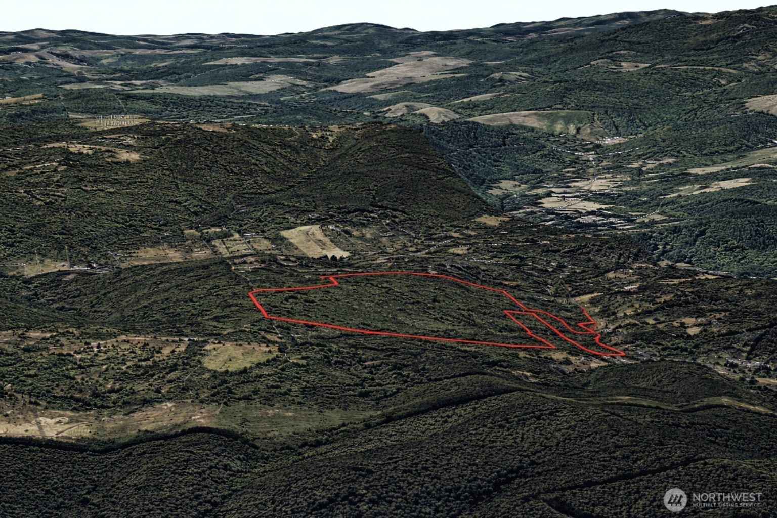 355 Ragland Road Longview, WA 98632 - Photo 22 of 24 a view of a forest with a mountain