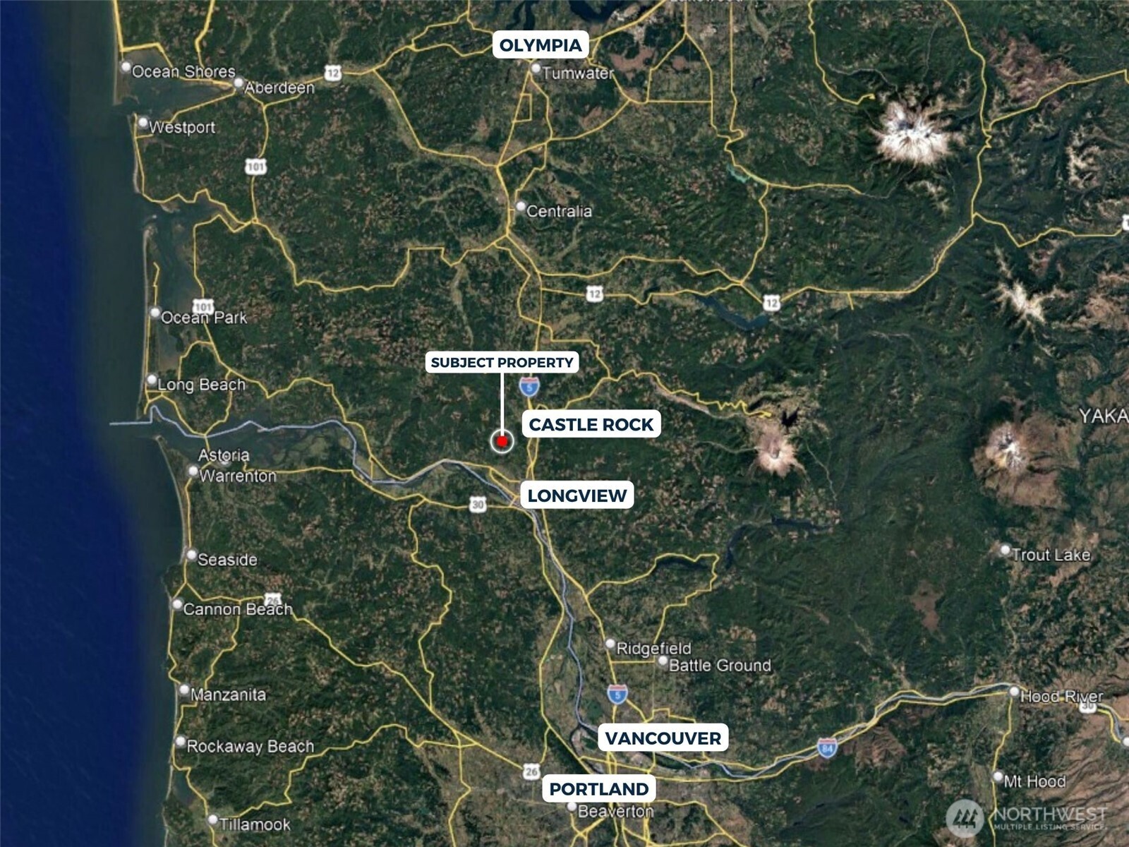 355 Ragland Road Longview, WA 98632 - Photo 23 of 24 a close up of a plant in a garden