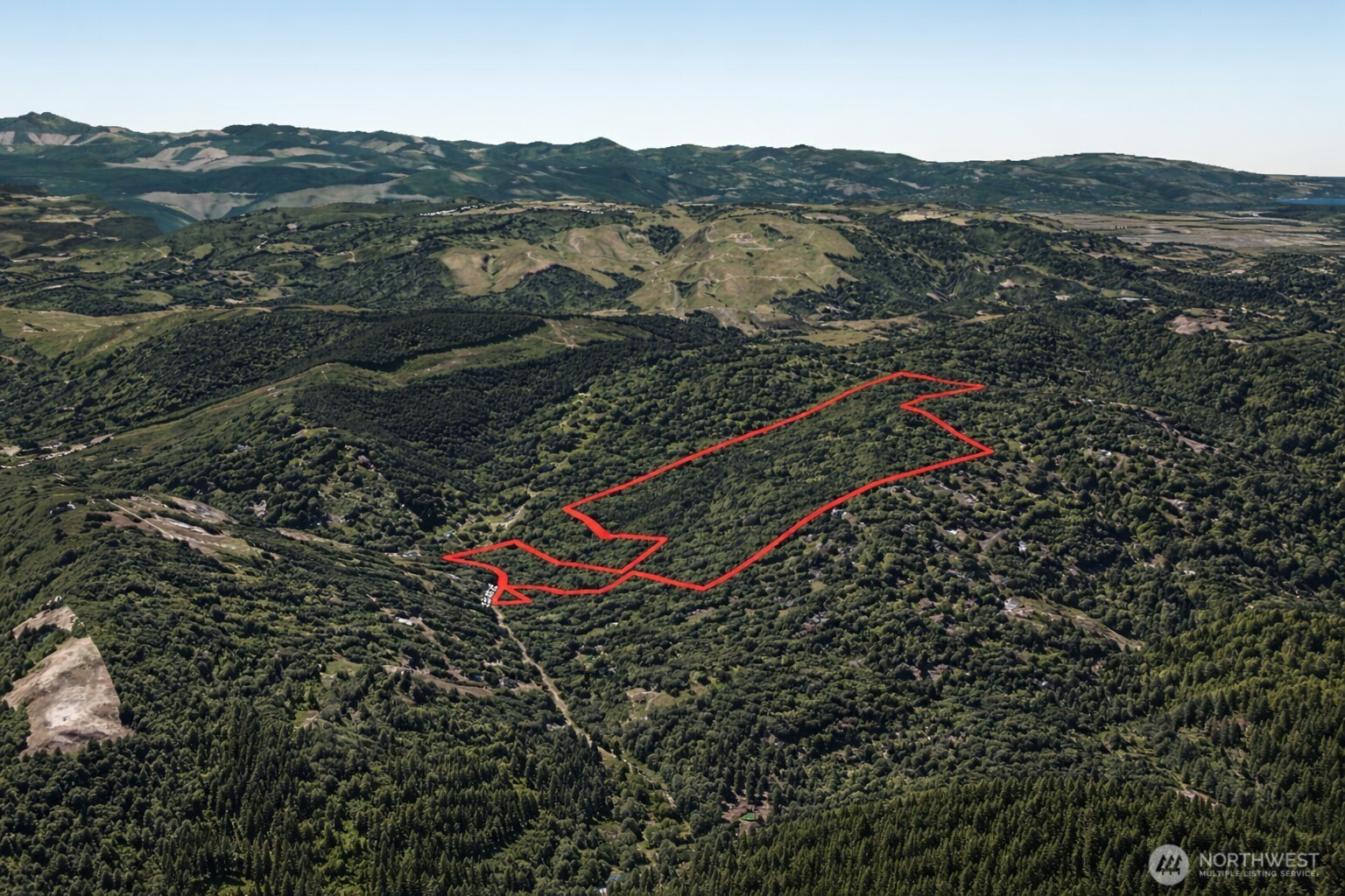355 Ragland Road Longview, WA 98632 - Photo 24 of 24 a view of a lush green field with mountains in the background