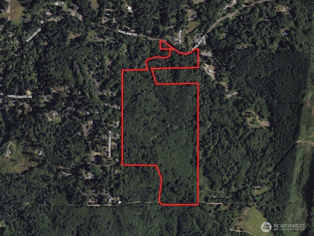 355 Ragland Road Longview, WA 98632 - Photo 5 of 24 a flag is sitting in the middle of a park