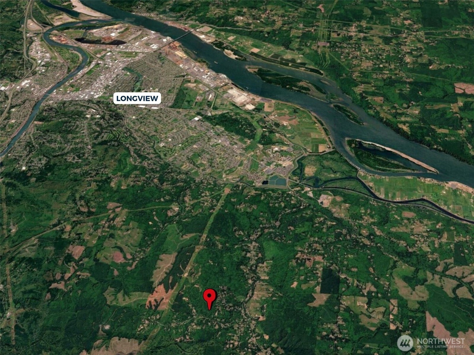 355 Ragland Road Longview, WA 98632 - Photo 7 of 24 a view of a tree in a yard