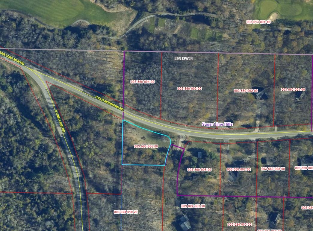 Lot 5 East Old Mountain Road, Unit LOT: 5 Cedar, MI 49621 - Photo 4 of 10