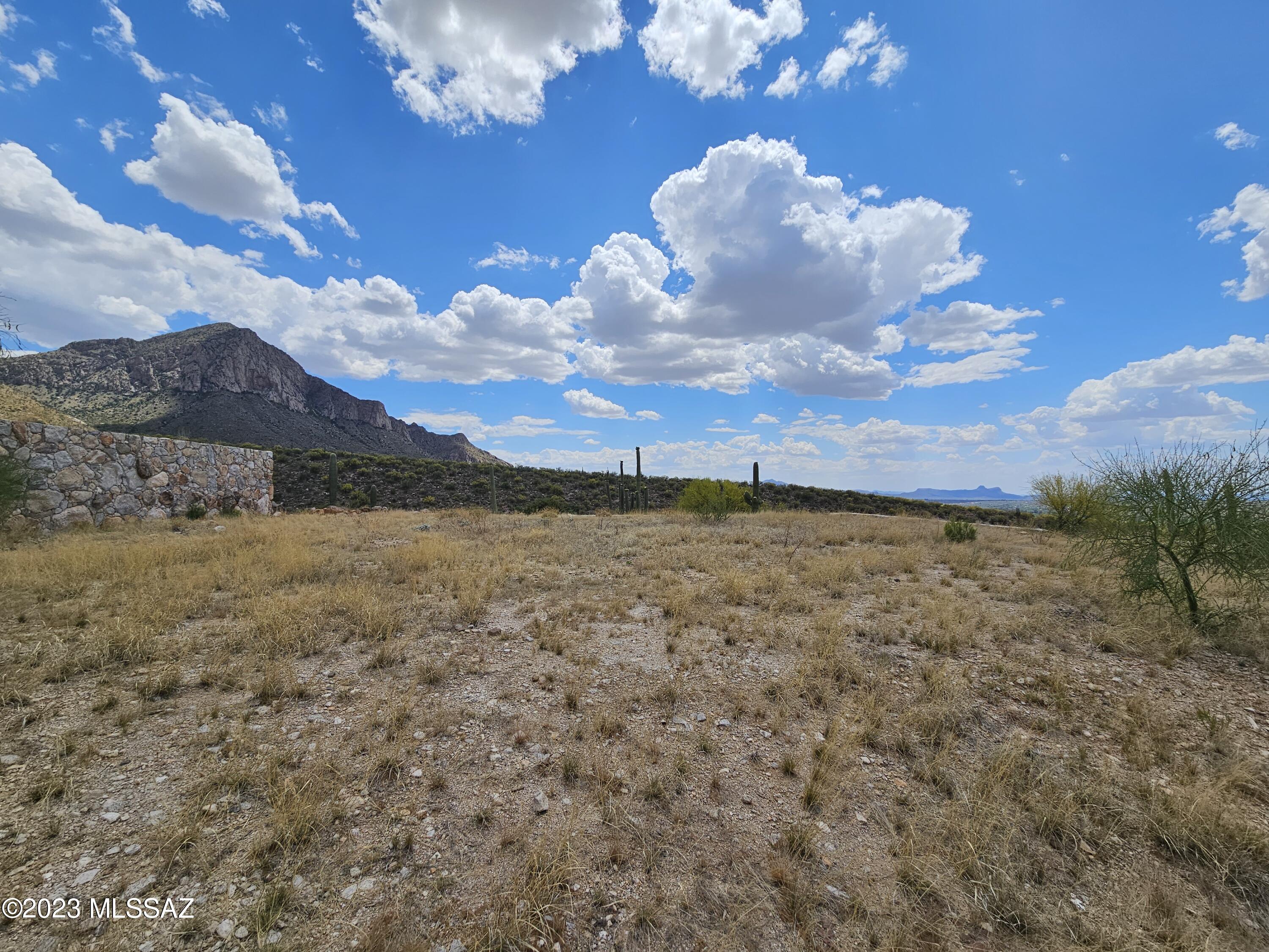 2320 Della Roccia Court, Unit 21 Oro Valley, AZ 85737 - Photo 5 of 10
