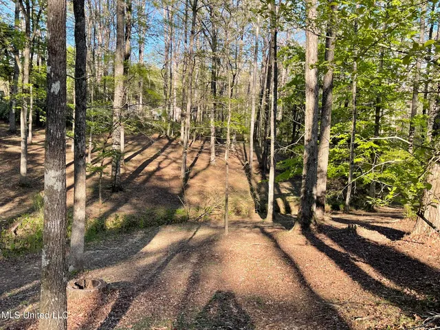 $225,000 | 384 Ponta Hills Road, Meridian, MS 39305