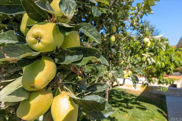 a view of a swimming pool in a backyard