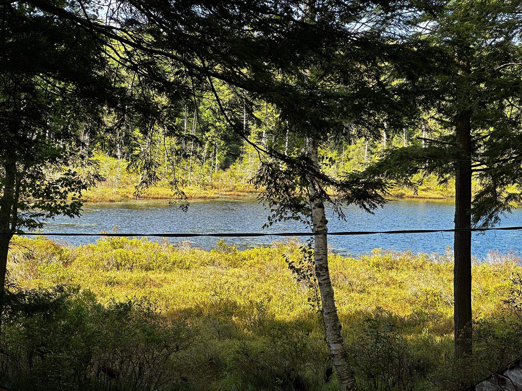 33 Whitney Pond Road Grafton, NH 03240 - Photo 28 of 29 Gallery Image 28
