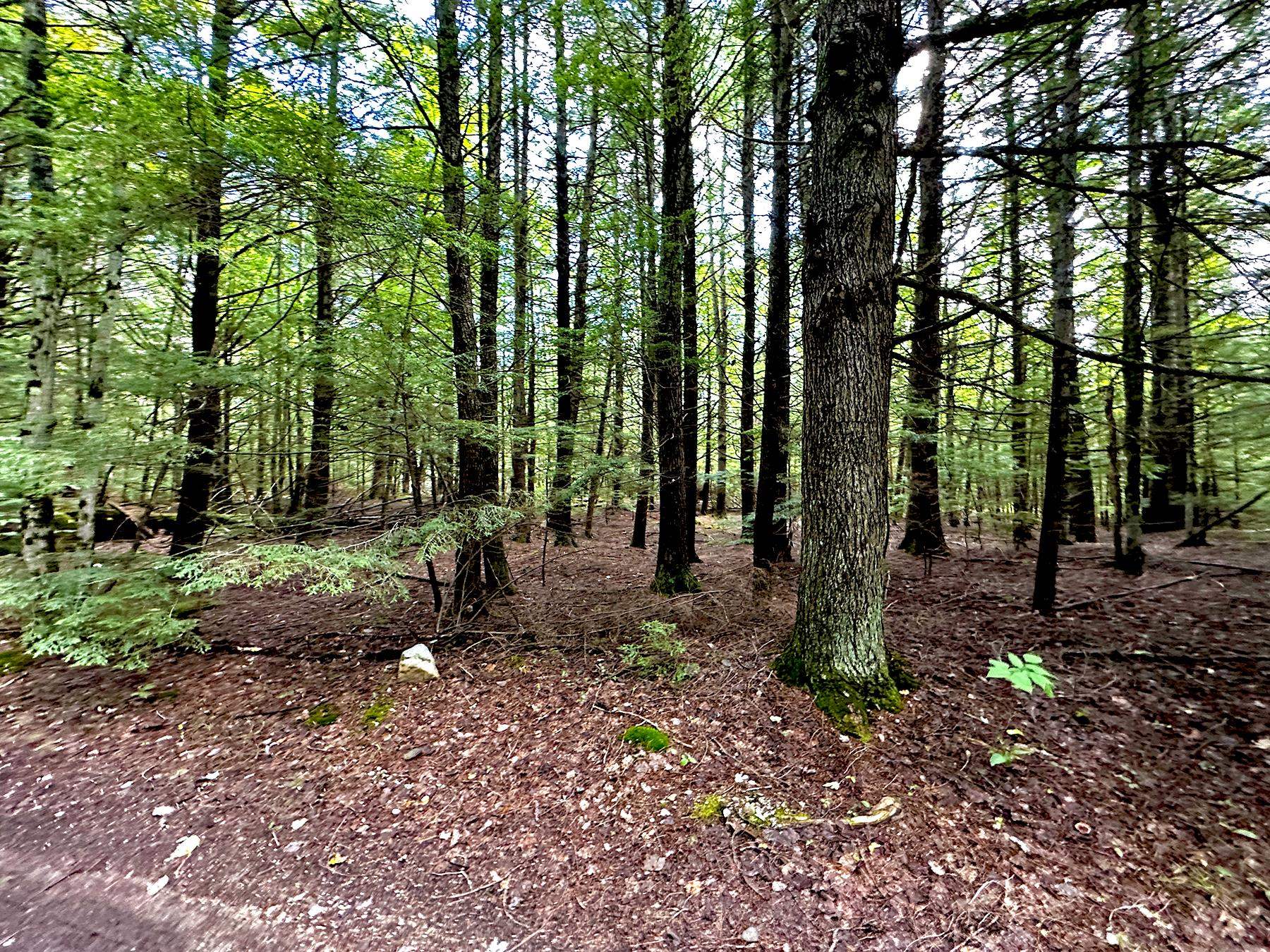 33 Whitney Pond Road Grafton, NH 03240 - Photo 6 of 29 Gallery Image 6