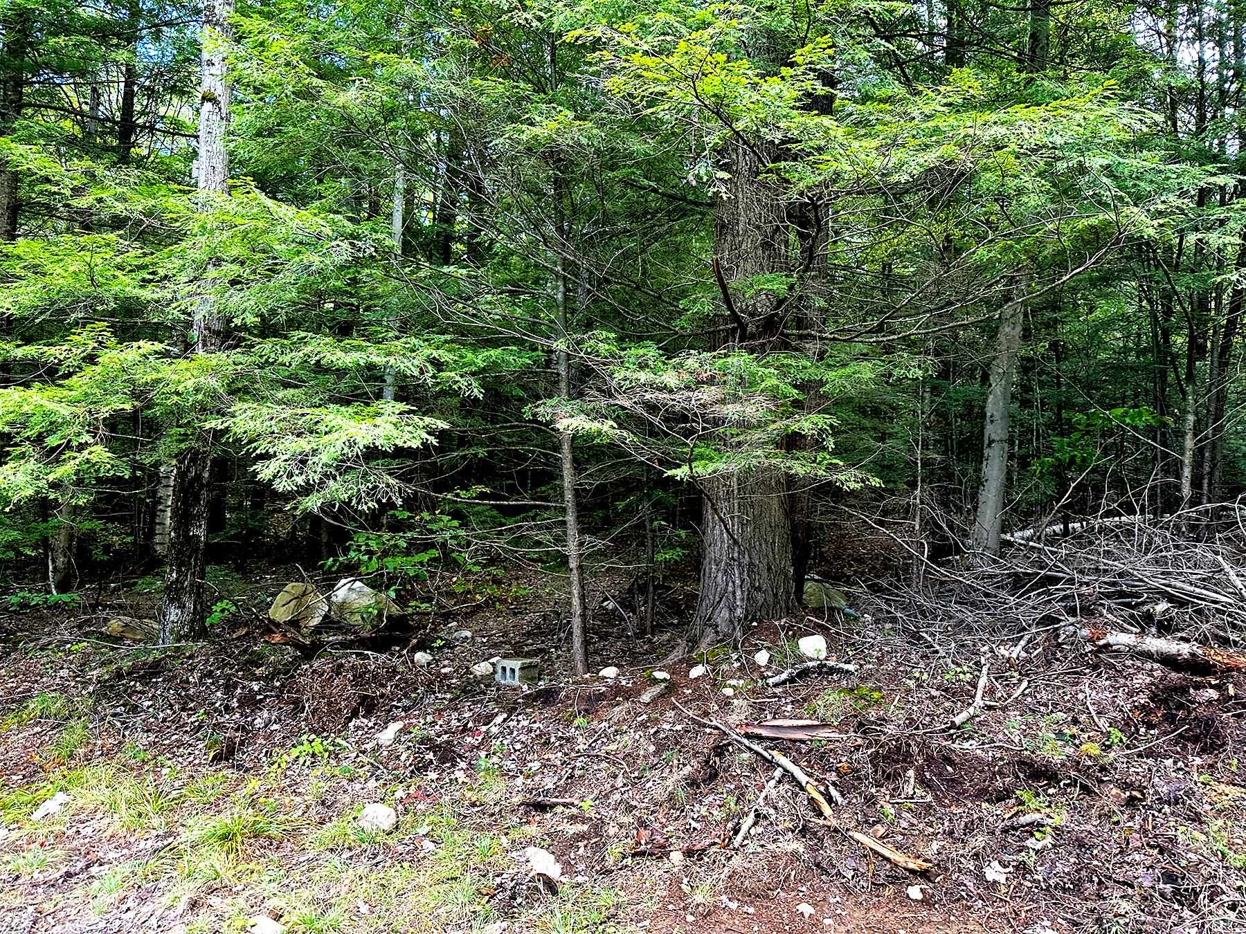 33 Whitney Pond Road Grafton, NH 03240 - Photo 7 of 29 Gallery Image 7
