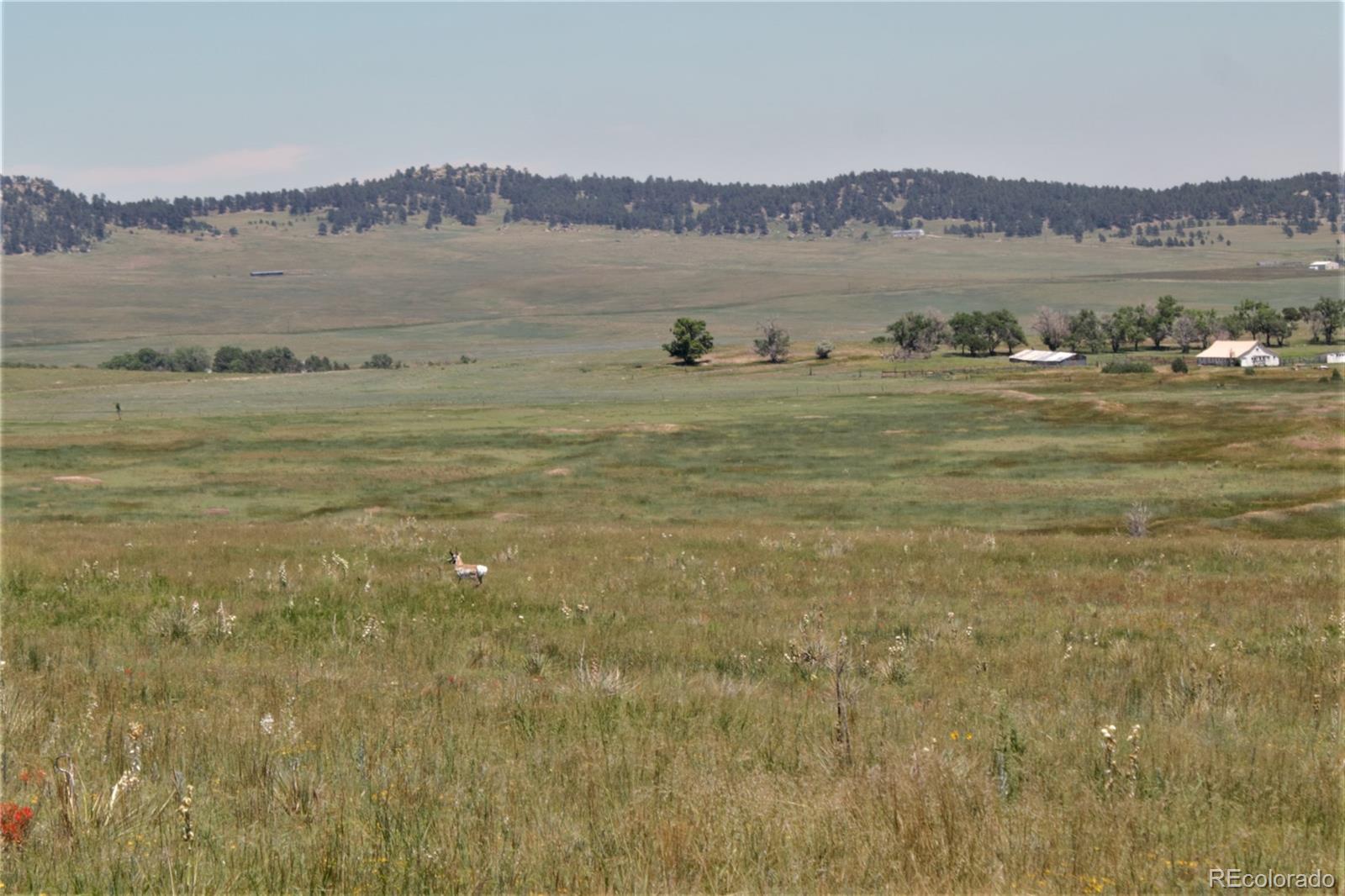 Mcclelland Road Calhan, CO 80808 - Photo 2 of 5 a view of a lake view