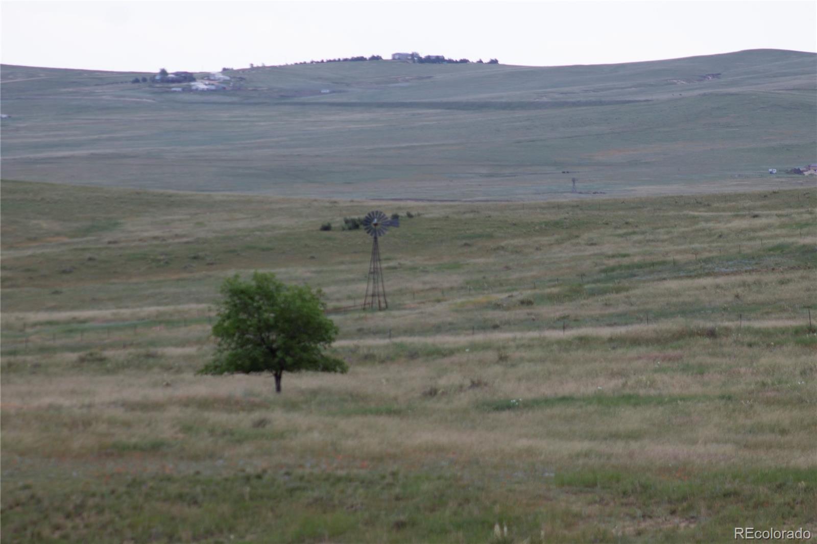 Mcclelland Road Calhan, CO 80808 - Photo 4 of 5 a view of a dry yard
