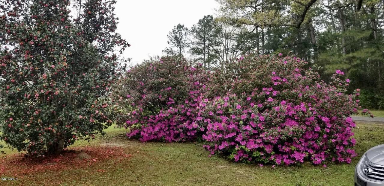 439 Beaver Dam Road Perkinston, MS 39573 - Photo 12 of 13 Exterior